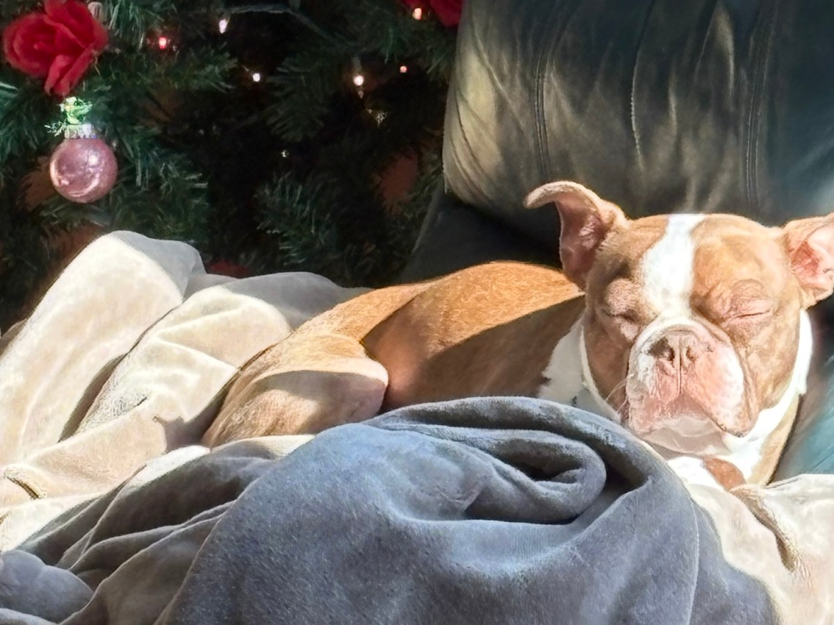 Courage with a capital&nbsp;G