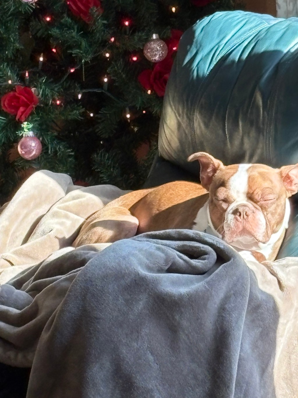 Courage with a capital&nbsp;G